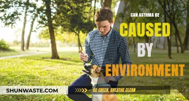 Environmental Triggers: Uncovering the Link Between Asthma and Surroundings