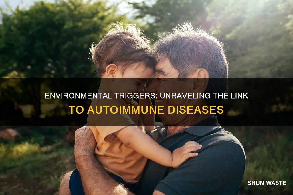 can autoimmune diseases be caused by the environment