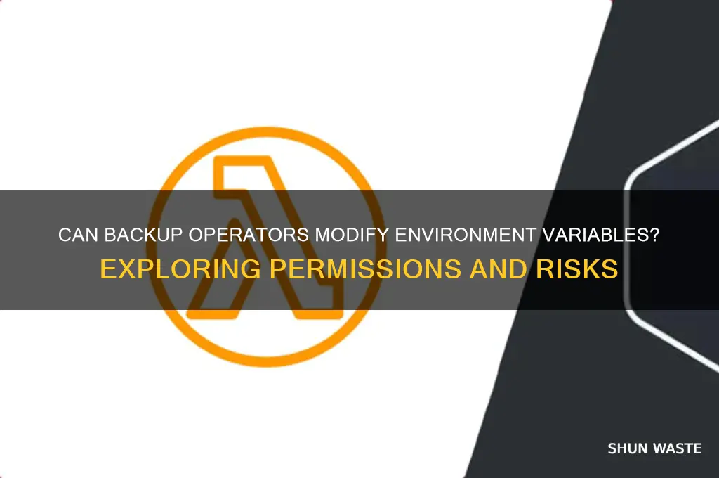 can backup operaors modify environment variables