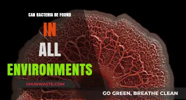 Bacteria's Ubiquity: Exploring Their Presence in Every Environment on Earth