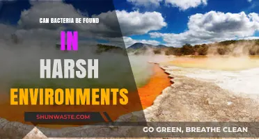 Surviving Extremes: Bacteria's Astonishing Presence in Harsh Environments