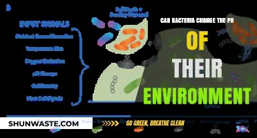 How Bacteria Alter Environmental pH: Mechanisms and Ecological Impacts