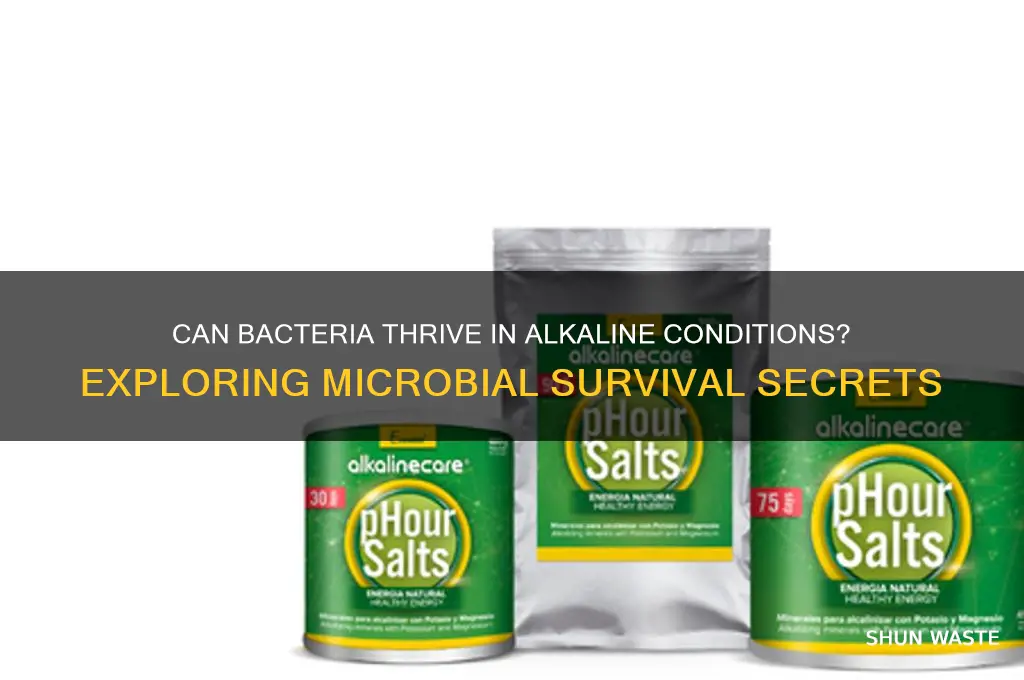 can bacteria grow in alkaline environment