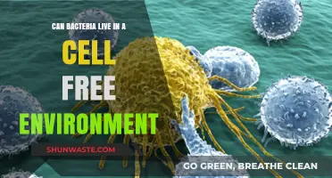 Can Bacteria Thrive Outside Cells? Exploring Cell-Free Survival Mechanisms