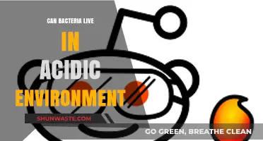 Surviving Extremes: Can Bacteria Thrive in Acidic Environments?