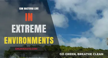 Surviving the Extremes: How Bacteria Thrive in Harsh Environments