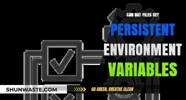 Setting Persistent Environment Variables with Bat Files: A Comprehensive Guide
