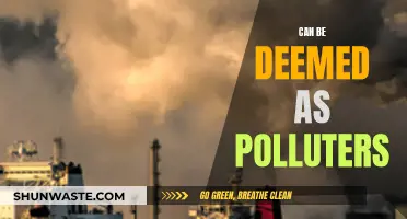 The Polluters Among Us: Identifying the Unseen Culprits