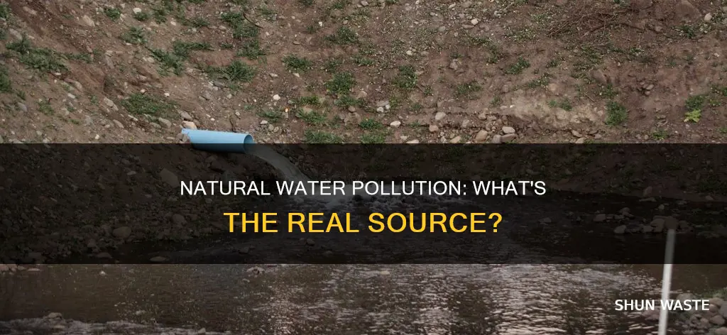 can be natural sources of water pollution