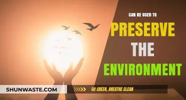 Sustainable Practices: How Everyday Actions Can Preserve Our Environment