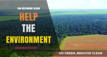 Veganism's Environmental Impact: How Plant-Based Diets Benefit Our Planet