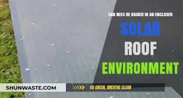 Raising Bees in Enclosed Solar Roofs: Feasibility and Benefits Explored