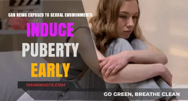 Sexual Environments and Puberty: Unraveling the Early Onset Mystery
