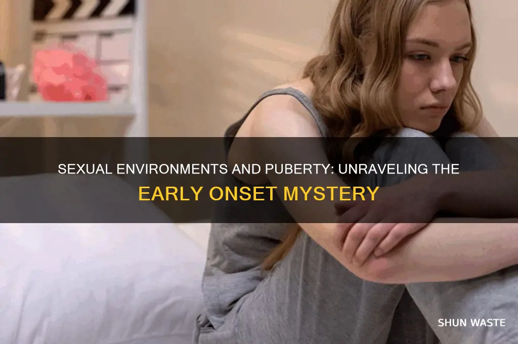 can being exposed to sexual environments induce puberty early