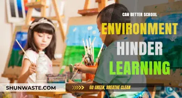 Do Improved School Environments Actually Impede Effective Learning?