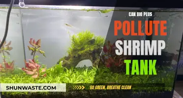 Bio Plus and Shrimp Tanks: A Polluting Mix?