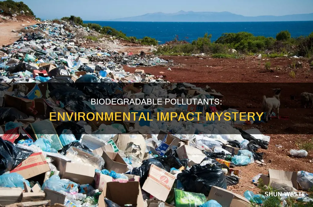 can biodegradable pollutants cause environ mental problems explain yout answer