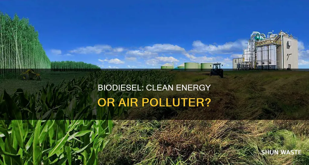 can biodiesel pollute the air