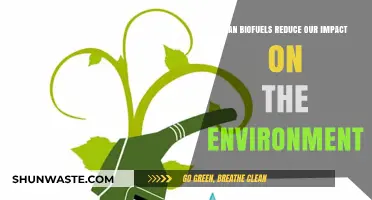 Biofuels: A Sustainable Solution to Reduce Environmental Impact?