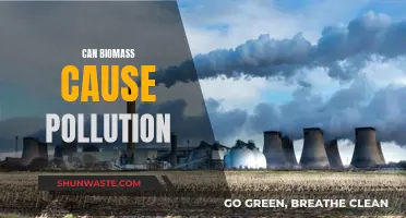 Biomass Energy: Pollution or Clean Energy Source?