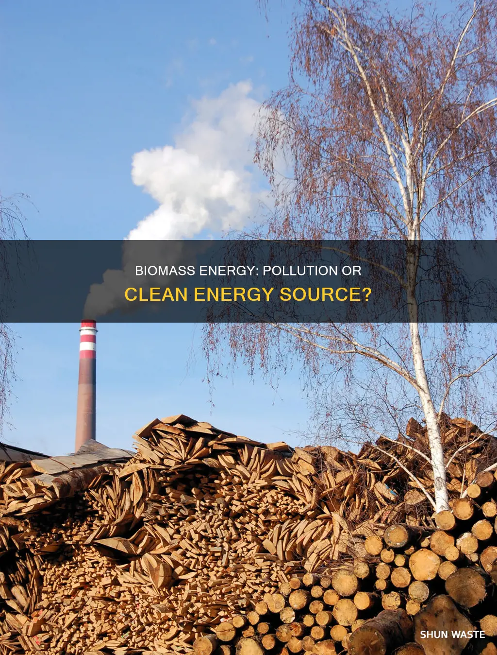 can biomass cause pollution