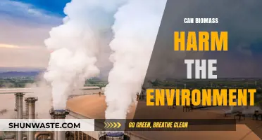 Biomass Energy: Environmental Savior or Hidden Ecological Threat?