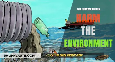 Bioremediation's Environmental Impact: Potential Harms and Sustainable Practices