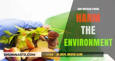 Biotech Foods and Environmental Impact: Uncovering Potential Ecological Risks