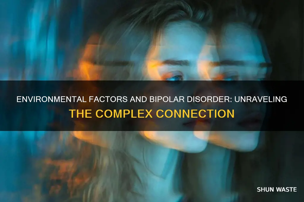 can bipolar be caused by environment