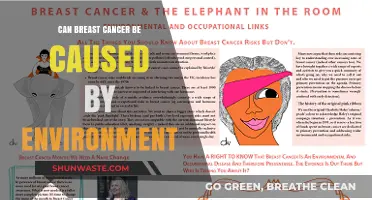 Environmental Factors and Breast Cancer: Unraveling the Complex Connection