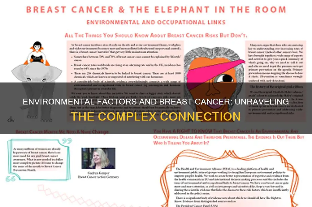 can breast cancer be caused by environment