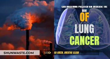 Breathing Polluted Air: A Risk Factor for Lung Cancer?