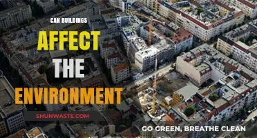 How Urban Structures Impact Ecosystems and Climate Change
