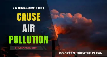 Unveiling the Impact: Fossil Fuels and Air Pollution