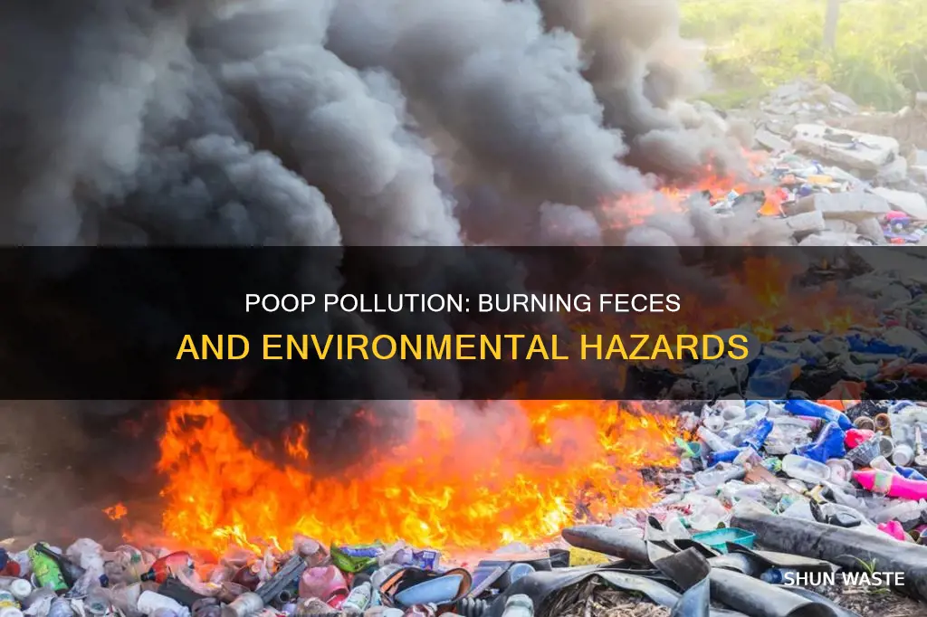 can burning poop create pollution