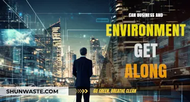Balancing Profit and Planet: Can Business and Environment Coexist Harmoniously?