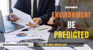 Predicting Business Environments: Possibilities, Challenges, and Strategic Insights