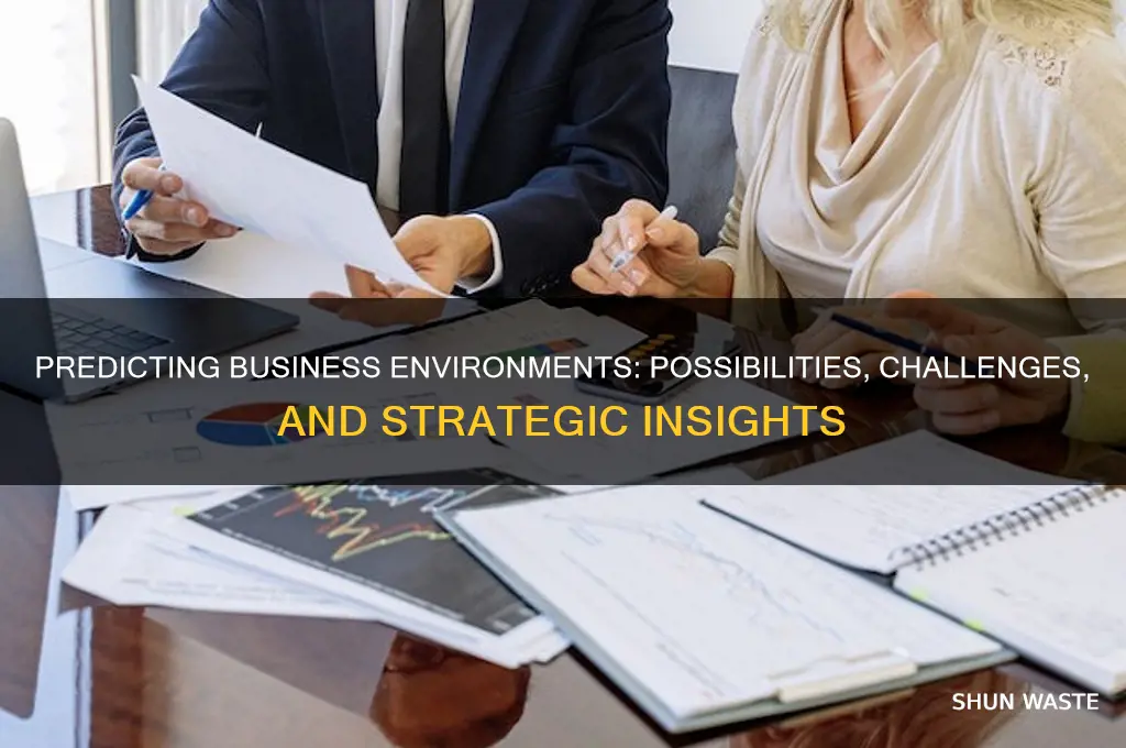 can business environment be predicted