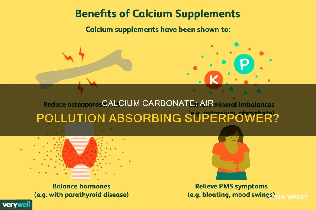 can calcium carbonate absorb air pollutants