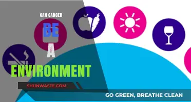 Exploring the Environmental Factors That May Contribute to Cancer