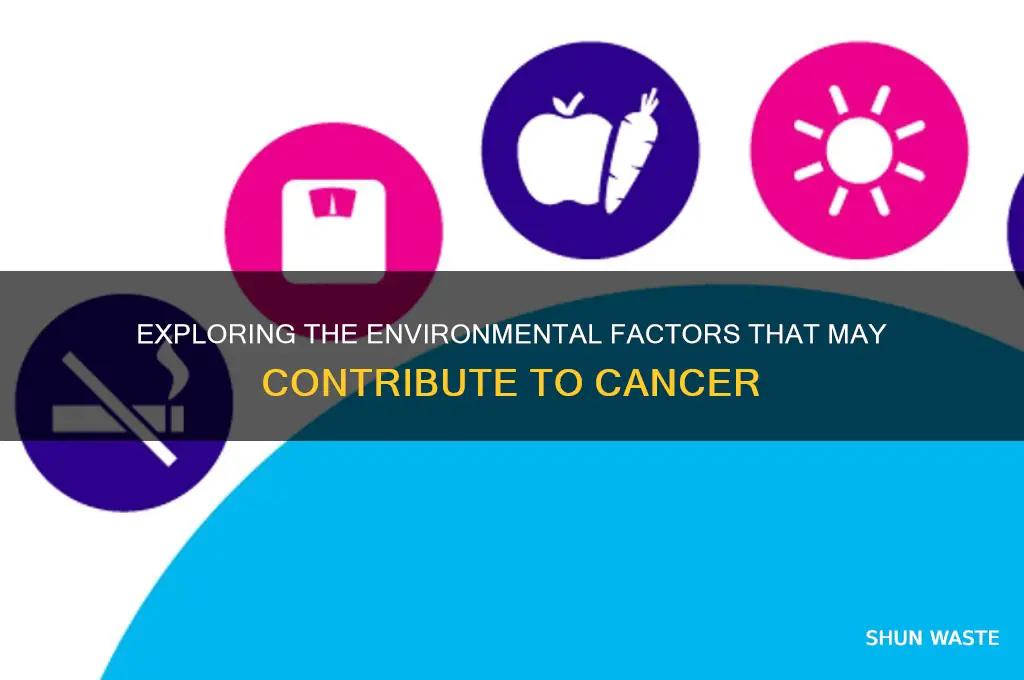 can cancer be a environment