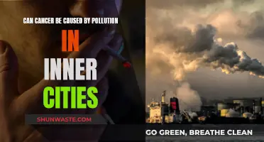 Cancer and Inner-City Pollution: Is There a Link?