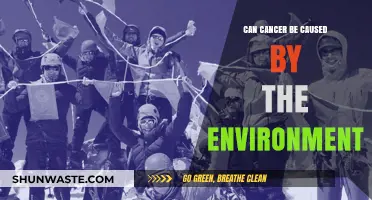 Environmental Factors and Cancer: Uncovering the Hidden Links to Disease