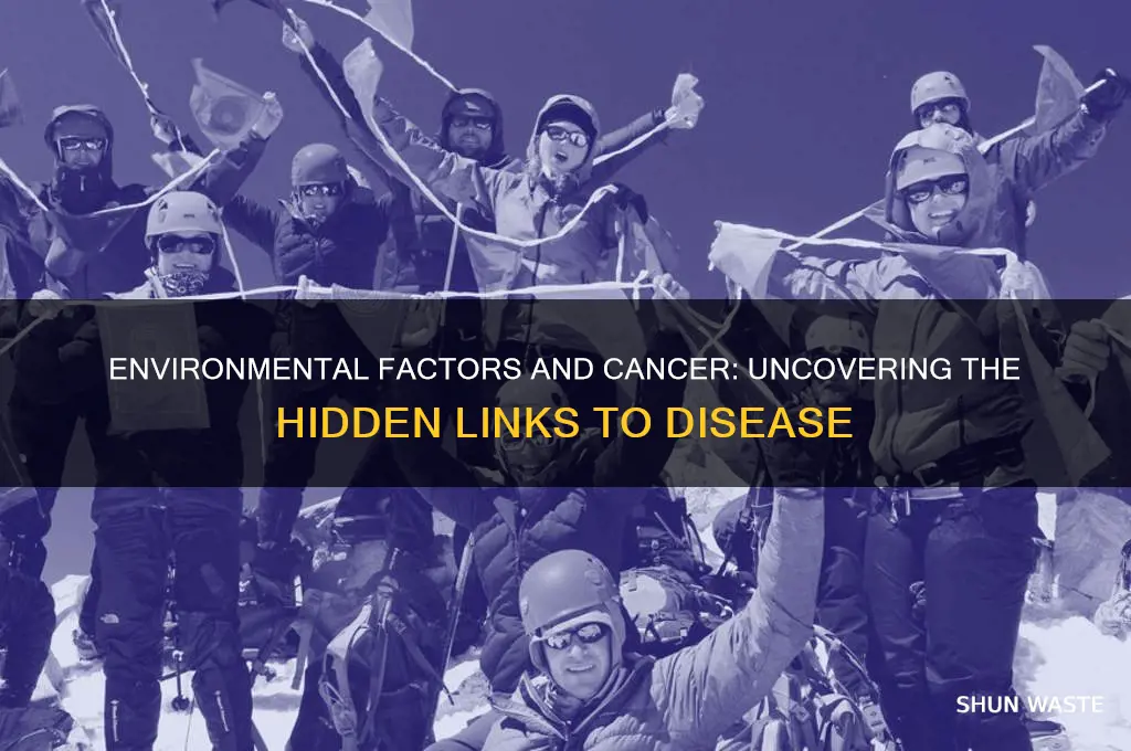 can cancer be caused by the environment