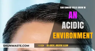 Can Cancer Cells Thrive in Acidic Environments? Exploring the Science