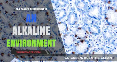Can Cancer Thrive in Alkaline Conditions? Debunking the pH Myth