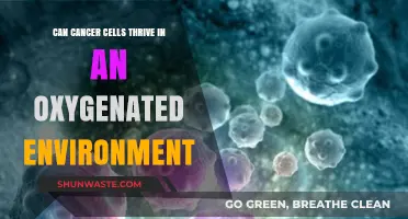 Oxygen's Paradox: Can Cancer Cells Survive in Oxygen-Rich Environments?