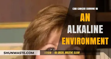Alkaline Environments: Can They Inhibit Cancer Survival and Growth?