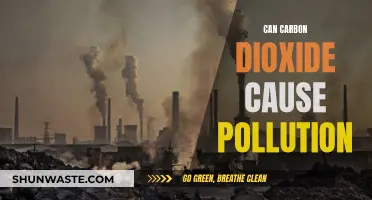 Carbon Dioxide's Pollution Impact: A Clear and Present Danger?