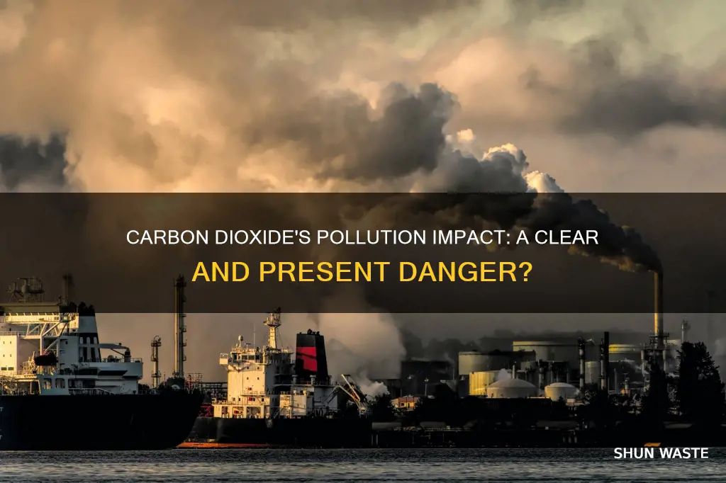 can carbon dioxide cause pollution